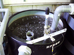 排水処理装置